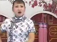 河南坠子《大瞎话》