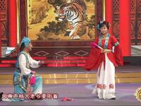 二人转《武松杀嫂》下载
