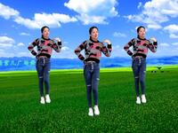 dj抒情广场舞《无心的相遇》