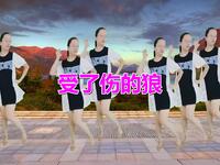 新版广场舞《受了伤的狼》歌曲优美动听好听