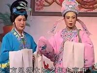 越剧《青楼母子情》下集下载