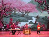 山东琴书《魂系桃花庄》下载