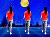 催泪情歌广场舞《今夜为你醉》
