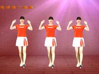 DJ情歌广场舞《谁来渡我》