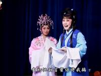 豫剧《泪洒相思地》临终恨一折下载