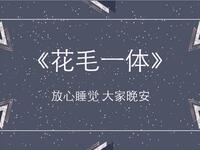 花毛一体