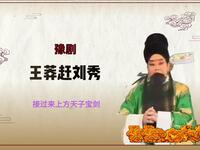豫剧《王莽赶刘秀》选段 接过来上方天子宝