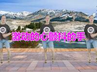 广场舞《激动的心颤抖的手》简单易学零基础