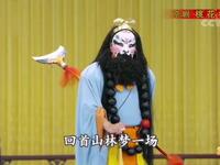 京剧《桃花村》牛征良饰鲁智深