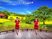 骄阳舞韵广场舞《记得咱的家》背面演示