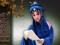 秦腔折子戏《水泼红袍》下载