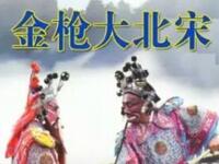 扬琴戏《金枪大北宋》下载