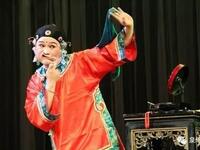 高甲戲女丑代表作《騎驢探親》完整字幕版