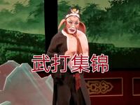 河北梆子《孙悟空大战金钱豹》武打集锦