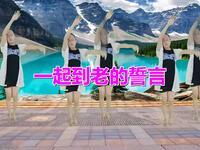 DJ广场舞《一起到老的誓言》动感劲爆舞曲小