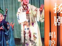 扬剧《堆字大陆板》合集名家唱段