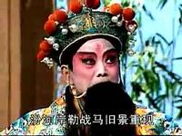 柳琴戏拉魂腔《王三姐挖菜》《武家坡》《薛平贵回寒窑》下载