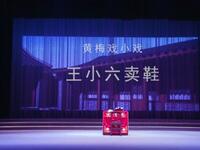 黄梅戏《王小六卖鞋》湖北省黄梅县黄梅戏剧院下载