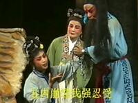 潮剧《武则天亲断梨花案》原汕头市潮剧团