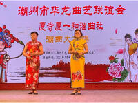 潮剧《母子相见倍伤情》选段下载
