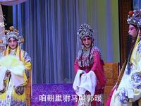 秦腔《打金枝背舌》全折下载