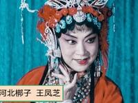 河北梆子《呼延庆打擂》