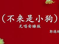 不来是小狗
