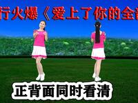 DJ广场舞《爱上了你的全部》