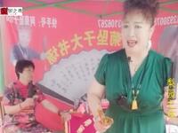 河南坠子《大宋金鸠记》 选段