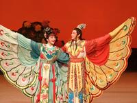 越剧《袁范版 梁山伯与祝英台》下载