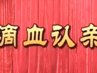 莆仙戏《滴血认亲》二团演出下载