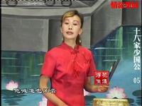 河南坠子《十八家少国公》全本05集