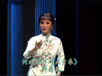 河北梆子《大青衣》下载