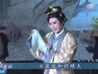 唐美云歌仔戏《光目女救母》