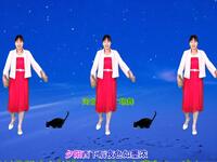 广场舞《何时拥你入怀中》64步