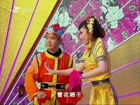 二人转《杨八姐游春》选段要彩礼下载