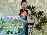 梅花大鼓《黛玉葬花》