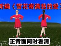 DJ唯美广场舞《雪花寄满我的爱》正背面同镜
