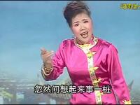 河南坠子《杨二郎劈山救母》