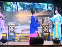 艺良歌仔戏剧团《夫妻双挂帅》选段