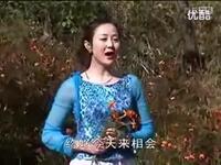 云南山歌剧《冤家变亲家》