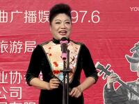 河南坠子《杨宗保点兵》