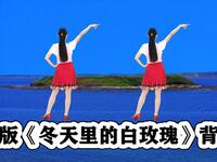 DJ广场舞《冬天里的白玫瑰》
