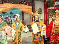 晋剧《金枝玉叶》下载