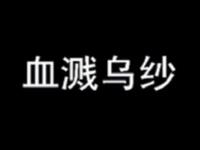 豫剧《血溅乌纱》河南省豫剧院演出下载
