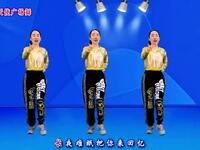广场舞《无情的风雨无情的你》伤感DJ情歌