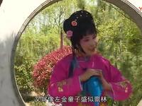 柳琴戏《猪八戒》下载