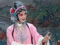 黄梅戏传统经典剧目《罗帕记》下载