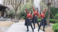 美久广场舞《夜夜夜漫长》简单大方易学附教学下载