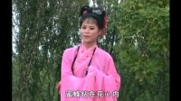 庐剧《怀了孩子入洞房》上集 总二集